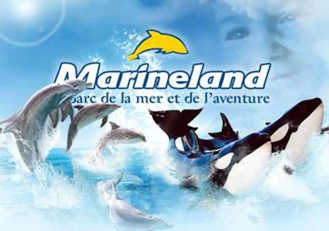 Appart hôtel Appartement Marineland Sea View Antibes